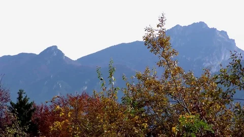 Terchova Stock Footage 82707897