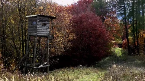 Terchova 스톡 동영상 82707900