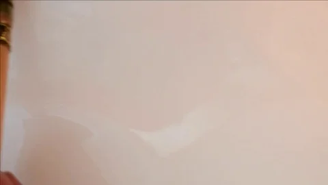 Teresa Tovar Stock Footage 83626596