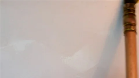 Teresa Tovar Stock Footage 83626598