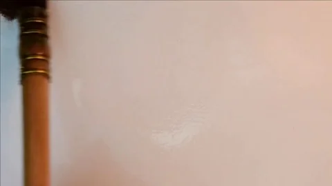 Teresa Tovar Stock Footage 83626602