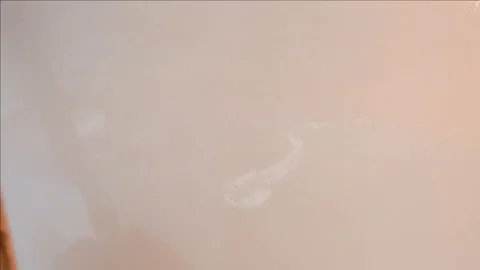 Teresa Tovar Stock Footage 83626605
