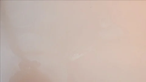 Teresa Tovar Stock Footage 83626612