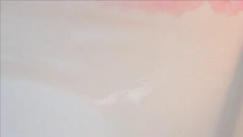 Teresa Tovar Stock Footage 83626617