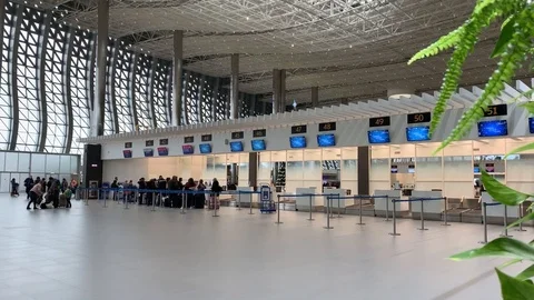 Terminal at the airport of Simferopol Stock Footage 100551002
