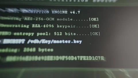 Terminal output from a system initializing cryptographic functions using the AES Stock Footage 335868800