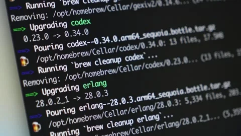 Terminal screen displaying software upgrade output for 'codex' and 'erlang'.. Stock Footage 318832037
