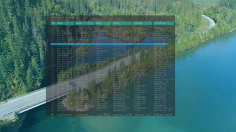 Terminal window showing user data and code overlaying winding forested lakeshore Stock Footage 307431843