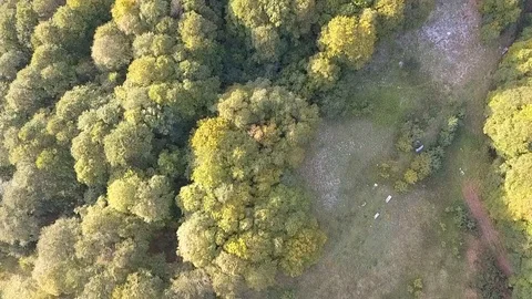 Terminillo mountain seen from a flying drone Video stock 100640692