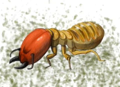 Termit Illustrazione stock