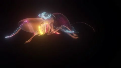 The Termite 3d Hologram 4k Stock Footage 148036174