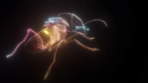 The Termite 3d Scanning 4k Stock Footage 145356305