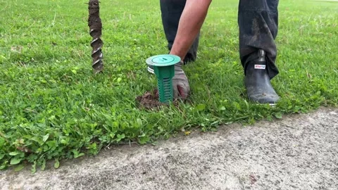 Termite Bait Station Installation Stock Footage 192153730