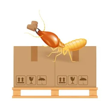 Termite bites eat paper boxes brown isolated on white background, termites an Stock Illustration