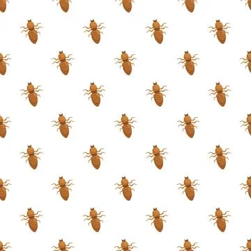 Termite bug pest insect seamless pattern Ilustración de archivo