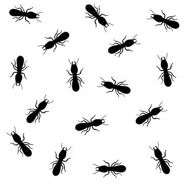 Termite colony. With a white background. Stock Photos