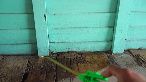 Termite control technicians use equipment and solutions to kill termites infeste 스톡 동영상 169439751