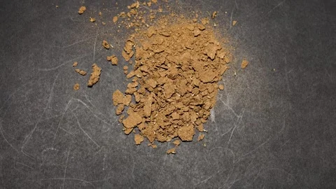 Termite crawling on termite Frass and Wood Debris Scattered on Dark Surface Stock Footage 344511167