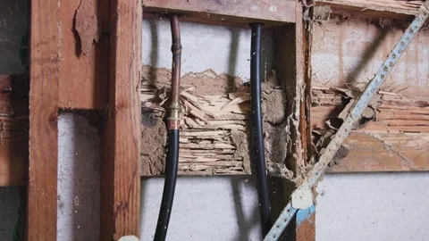 Termite damage next to plumbing in an infested home. Stock Footage 333300446