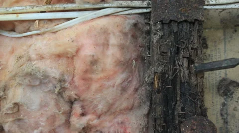 Termite damaged wall stud Stock Footage 42238763
