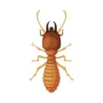 Termite Harmful Insect, Pest Control and Extermination Concept Vector Stock Illustration
