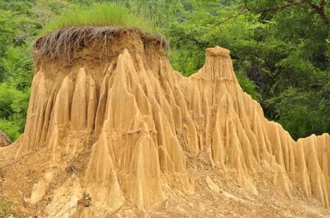 Termite hill Stock Photos