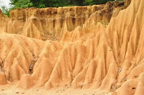 Termite hill Stock Photos