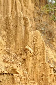 Termite hill Stock Photos