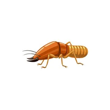 Termite icon, pest control insects disinsection Stock Illustration