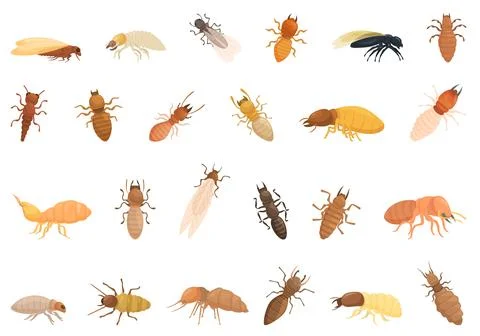Termite icons set cartoon vector. Nature insect Stock Illustration