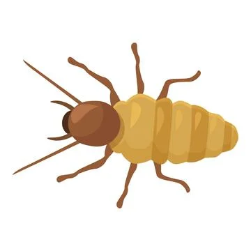 Termite insect pest crawling with long antennae Stock Illustration