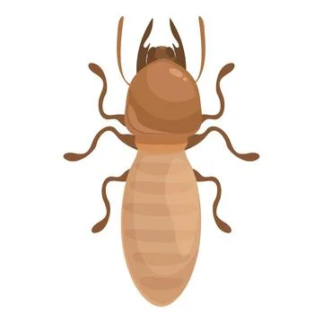 Termite insect posing with big head and tiny waist Stock Illustration