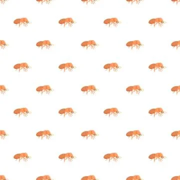 Termite insects infestation pattern on white background Illustrazione stock