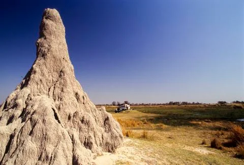 Termite mound, Botswana Stock Photos