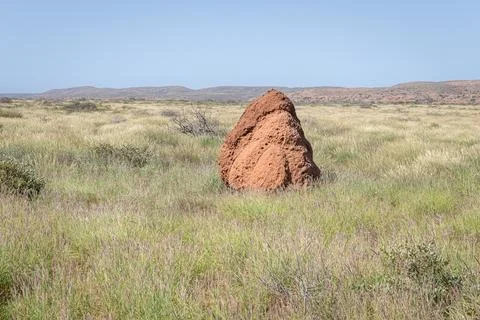 Termite mound in the desert Cape Range National Park, Western Australia Stock Photos
