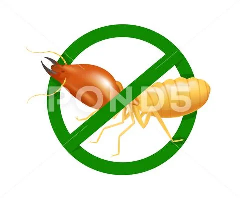 Termite in prohibited green circle sign isolated on white background, logo in Stock Illustration