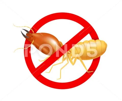Termite in prohibited red circle sign isolated on white background, logo inse Stock Illustration