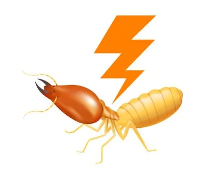 Termite with thunder symbol orange isolated on white background, logo insects Stock-Illustration