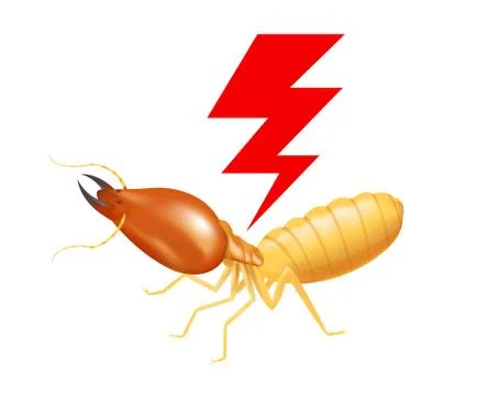 Termite with thunder symbol red isolated on white background, logo insects te Stock Illustration