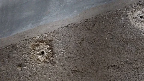 Termite treatment Stock Footage 119647738
