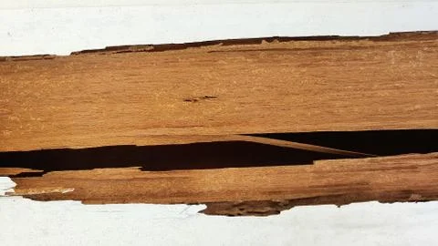 Termite wall damage texture background Stock Photos