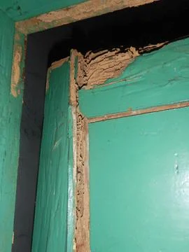 Termited Door Stock Photos
