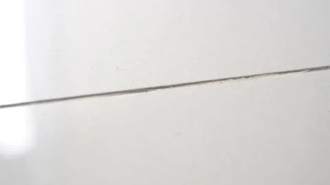 Termites moved in systematic line or queue on the wall migrating to new Stock Footage 145801309
