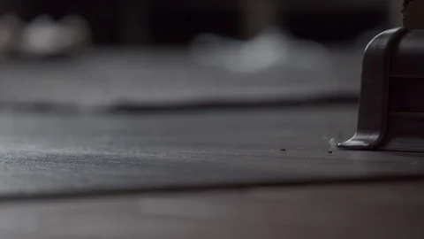 Termites or ants inside house bedroom Stock Footage 107810595