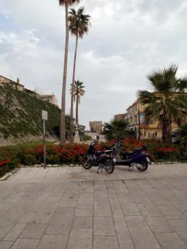 Termoli: garden Stock-Fotos
