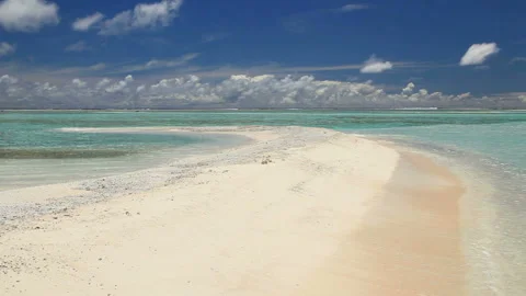 The Tern, the Beach, and the Waves Lapping at the Shore Stock-Footage 324921132