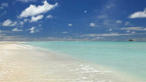 The Tern, the Beach, the Waves Lapping at the Shore, and Ferry Island Video stock 324920938
