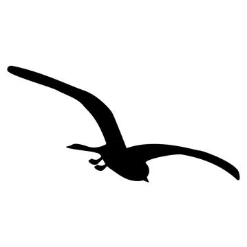 Tern bird silhouette with spread wings isolated on white. Soaring seagull. Stock Illustration