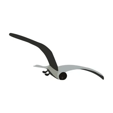 Tern bird with spread wings isolated on white. Soaring seagull. Gray colors.  Stock Illustration