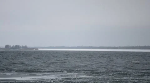 Tern flying in winter over Dnieper river near Kiev, Ukraine Stock Footage 46996875